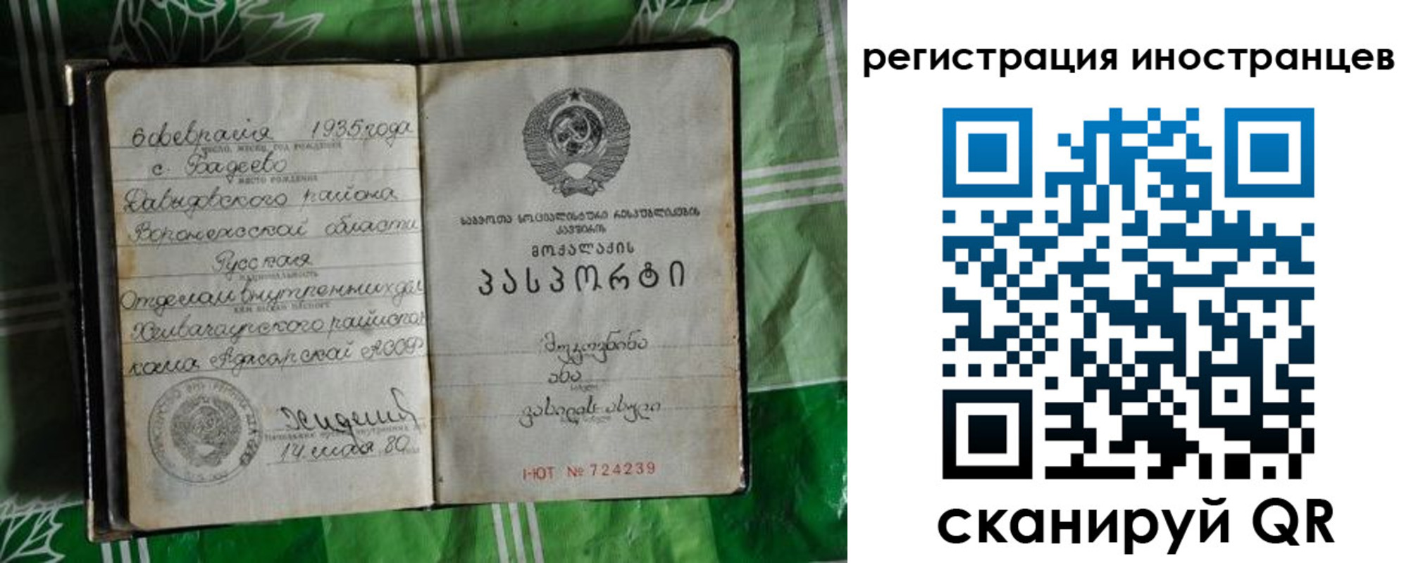 где прописаться в Черноголовке